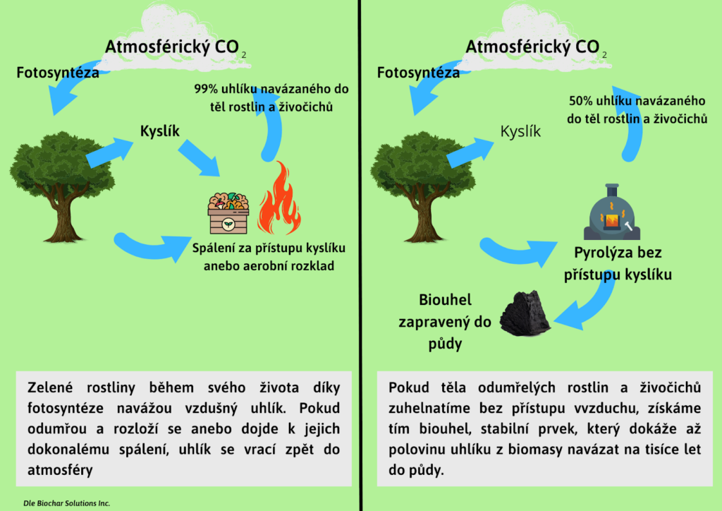 Biouhelný cyklus